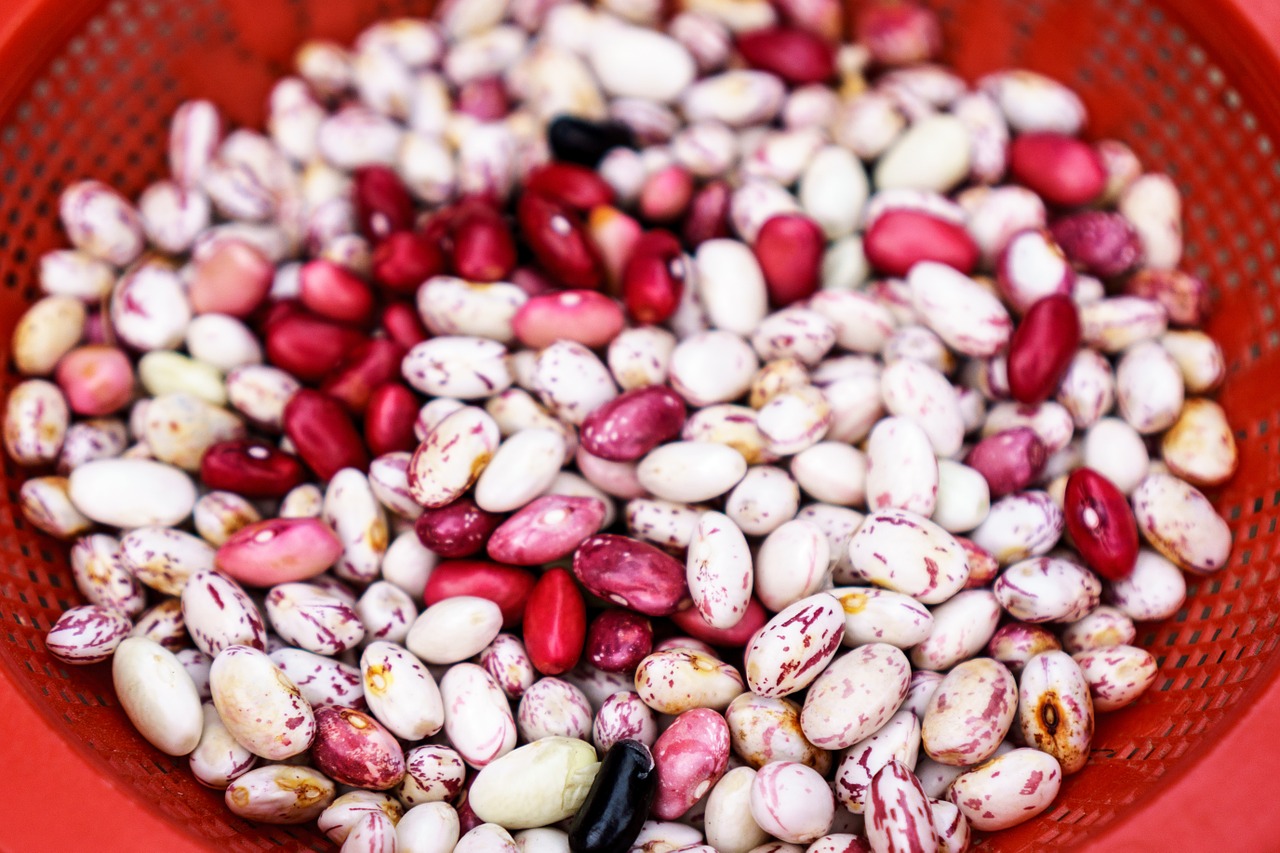 Super Food Beans to Add to Your Diet