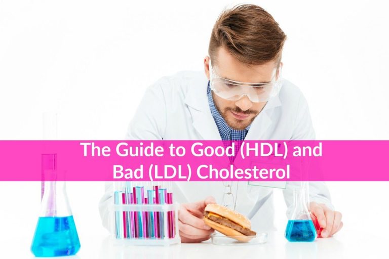 The Guide to Good (HDL) and Bad (LDL) Cholesterol The Healthy Apron