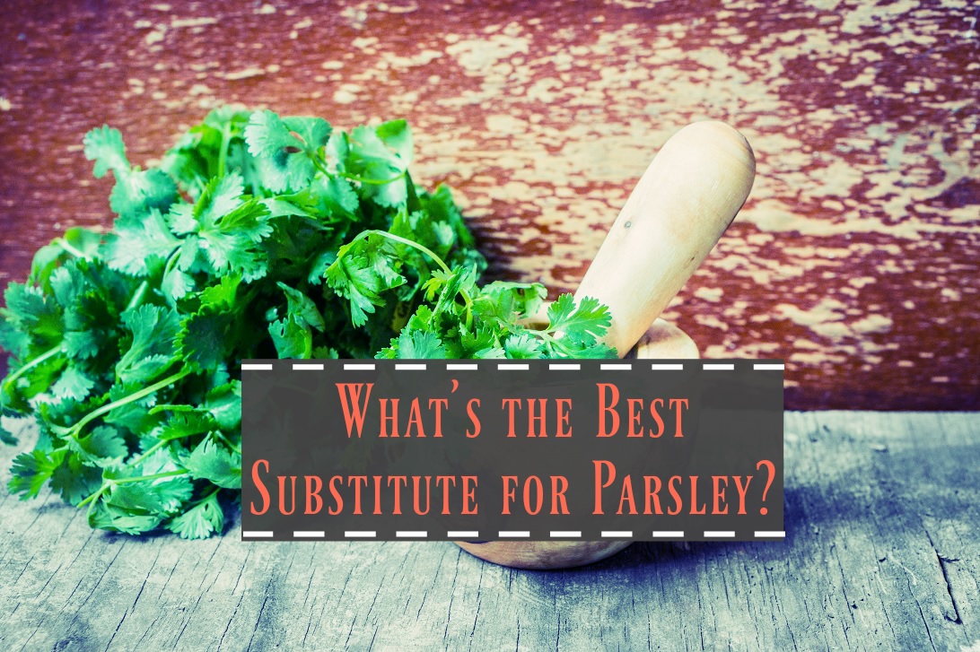 Parsley Substitute