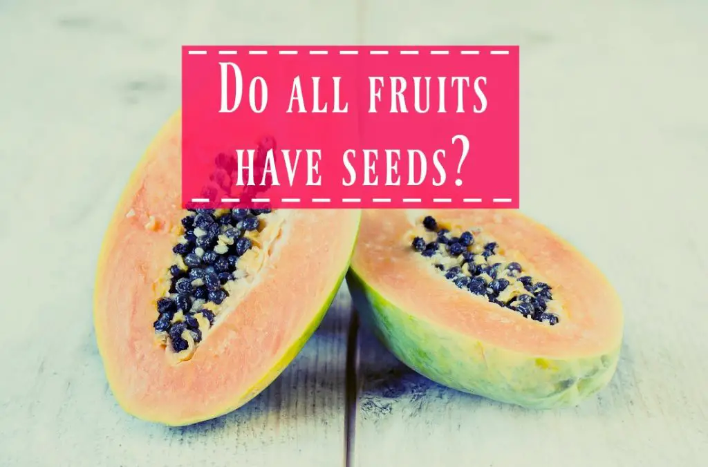 Do All Fruits Contain Seeds? The Healthy Apron